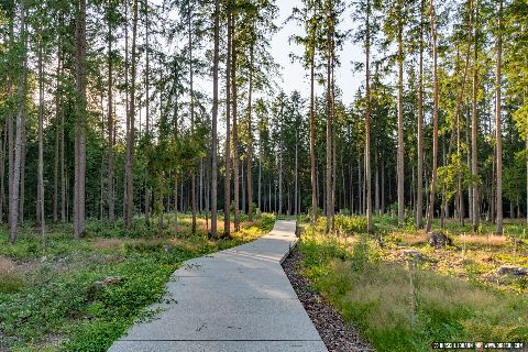 Gemeinde Mühldorfer_Hart Landkreis Mühldorf Massengrab (Dirschl Johann) Deutschland MÜ